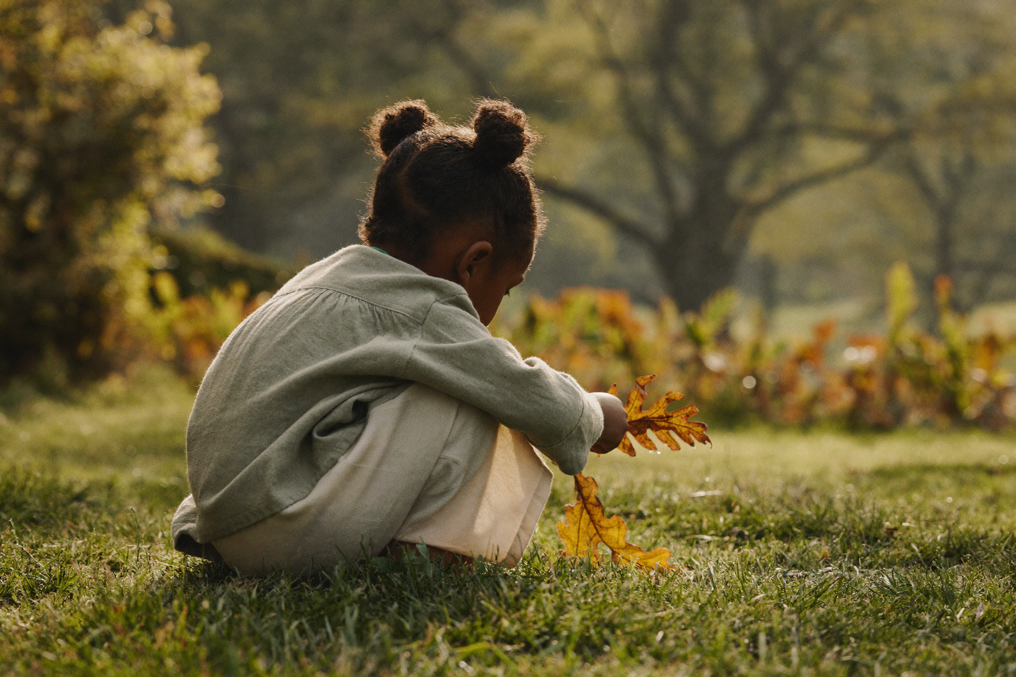 A small child sitting in dappled morning light in an English garden, gently holding autumn oak leaves.